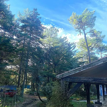 La Cachette D Oona, Grand Nature Et Familles Semesterbostad