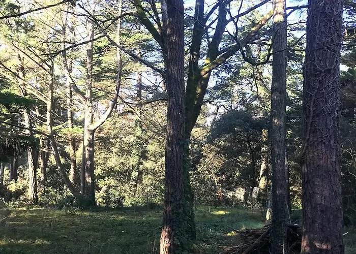 La Cachette D Oona, Grand Nature Et Familles *