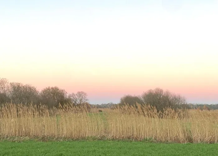 La Cachette D Oona, Grand Nature Et Familles Holiday home Saint-Jean-de-Monts