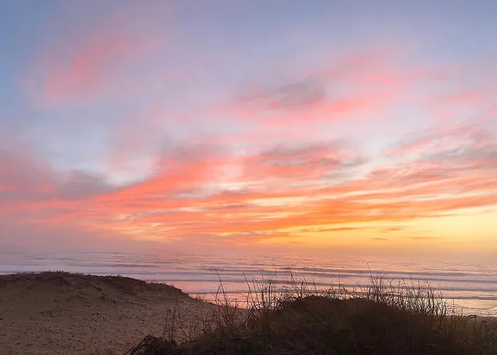La Cachette D Oona, Grand Nature Et Familles Saint-Jean-de-Monts