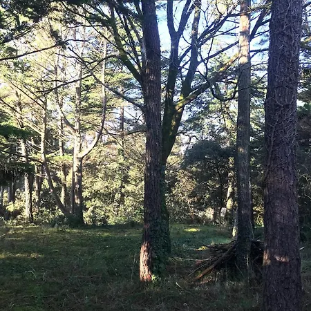 La Cachette D'oona *