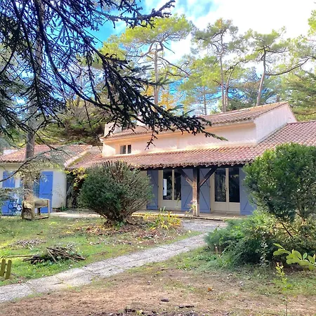 La Cachette D Oona, Grand Nature Et Familles Saint-Jean-de-Monts