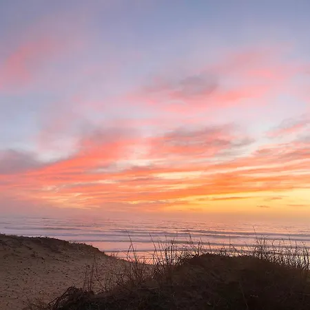 La Cachette D Oona, Grand Nature Et Familles Saint-Jean-de-Monts