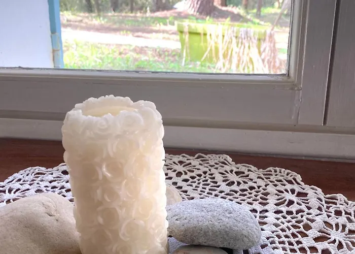 La Cachette D Oona, Grand Nature Et Familles Saint-Jean-de-Monts