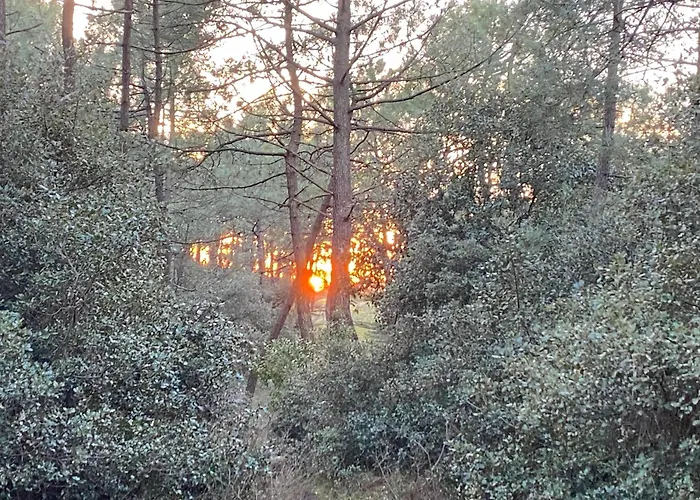 La Cachette D Oona, Grand Nature Et Familles *