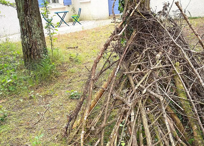 La Cachette D Oona, Grand Nature Et Familles * Saint-Jean-de-Monts