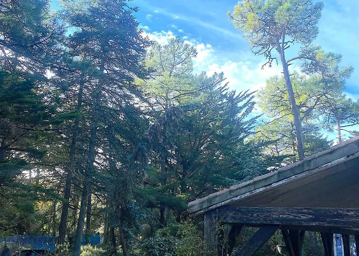 La Cachette D Oona, Grand Nature Et Familles Ferienhaus